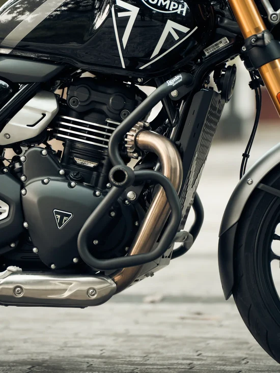 Legundary Customs Triumph Speed 400 Thanos Crash guard With Slider